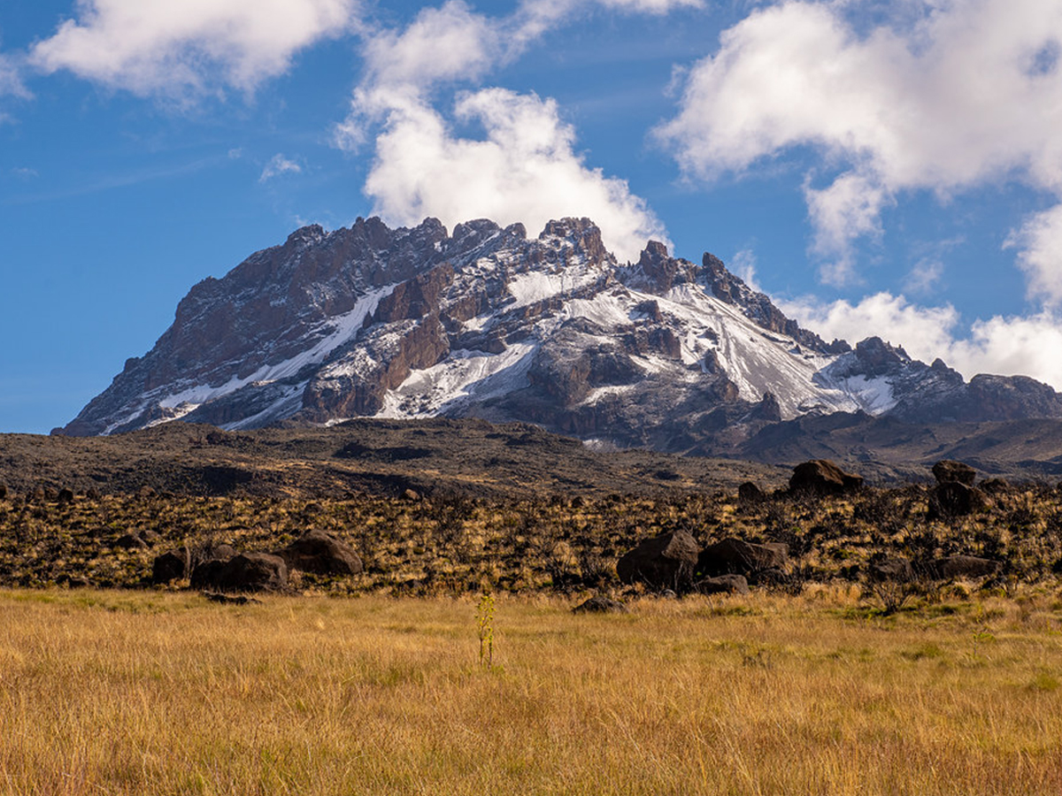 5 Days Lemosho Route Kilimanjaro Trekking